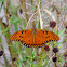 Gulf Fritillary
