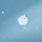 Moon Jelly