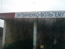 Litvinenko Volgemut Bus Station
