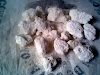 Magnesita Mg0 Carbonato De Magnesio