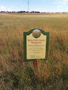 Native Prairie Grasses Planting Area 