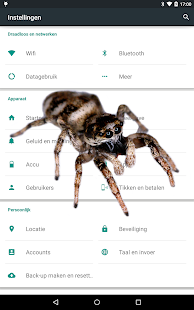How to download Spider Prank 1.0.0 apk for bluestacks