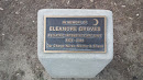 In Memory of Eleanor Groves