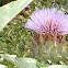 Artichok