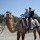 animallover1112