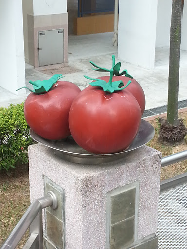 Triple Tomatoes