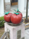 Triple Tomatoes