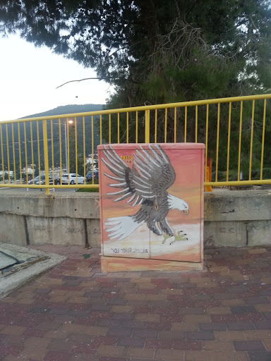 Urban Art - Eagle