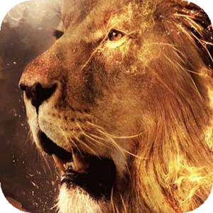 Lion in Fiery Sparks LWP.apk 1.0