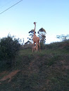 Phe Zulu Giraffe Statues