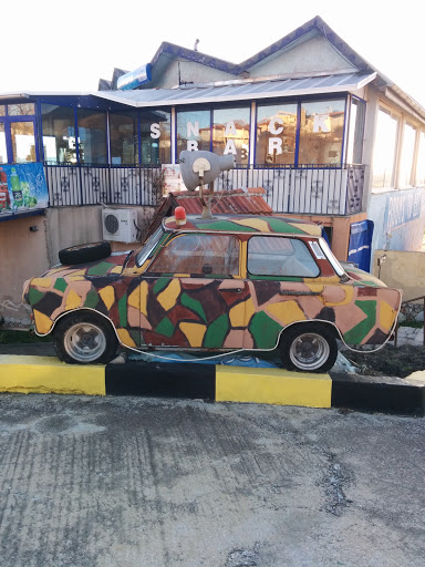Camouflage Car