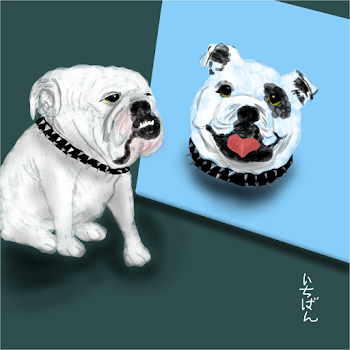 Bulldog (2)