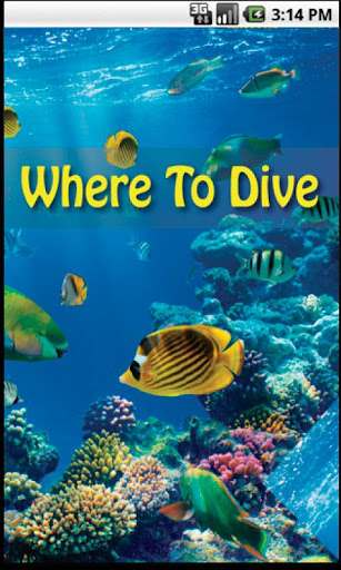 Where To Dive