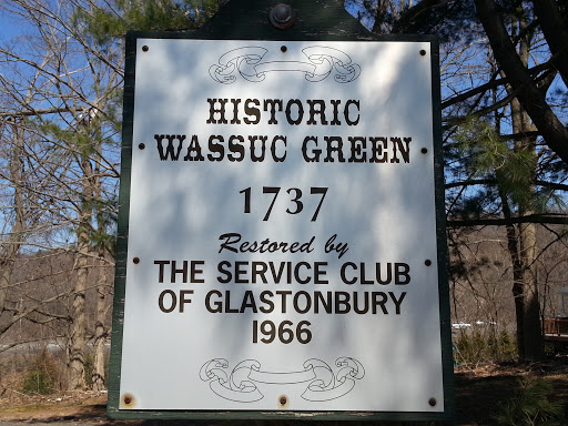 Wasson Green - Glastonbury 