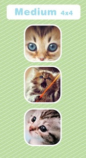 How to install Cat Puzzle 1.0 apk for android