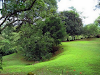 1 Hectare For Sale In Piedras Negras Ciudad Colon