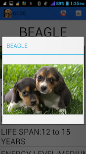 How to download Dog Breeds lastet apk for pc