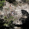 Kate Russo