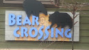 Bear Crossing 