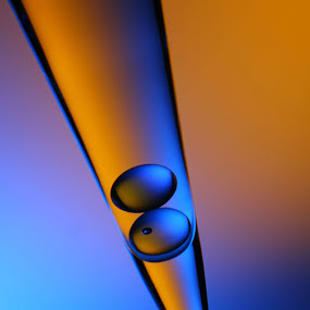 two tone by Anif Putramijaya - Fine Art Things