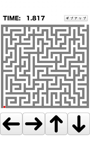 Speed Maze escape the dungeon