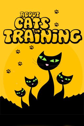 Cats Training - complete guide