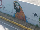 Mural Tucan