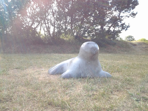 Seal by the Sea