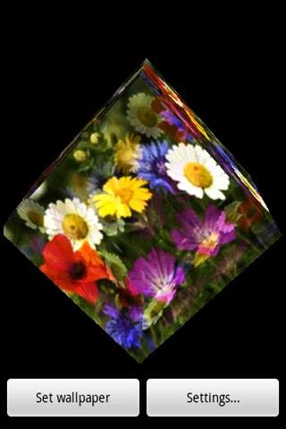 3D flower 67