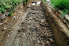 Gambar preview Poveglia "Pulau arwah" di Italia..          (◑﹏◐!)