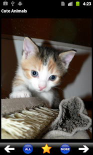 How to download Cute Animals 1.01 unlimited apk for bluestacks