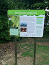 Rainforest Treasures Sign