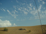 DSC00415.JPG