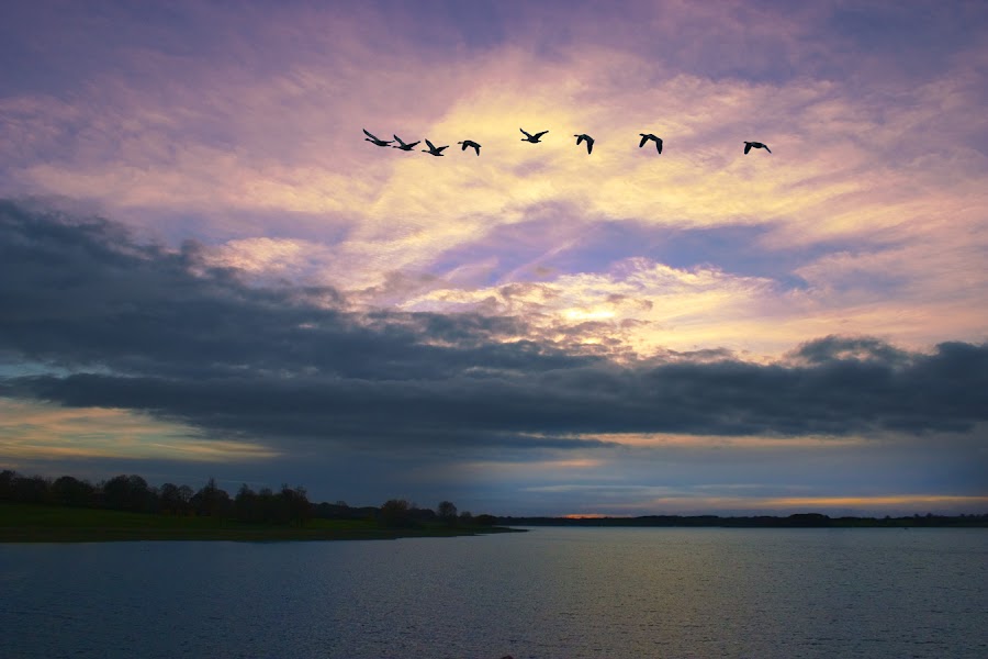 by Catherine McKinty - Landscapes Waterscapes
