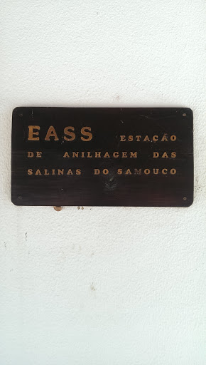 EASS - Estação De Anilhagem Das Salinas Do Samouco