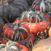 Pumpkins