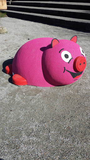 Giant Pig