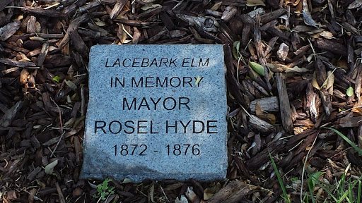 Mayor Hyde Memorial Elm Tree