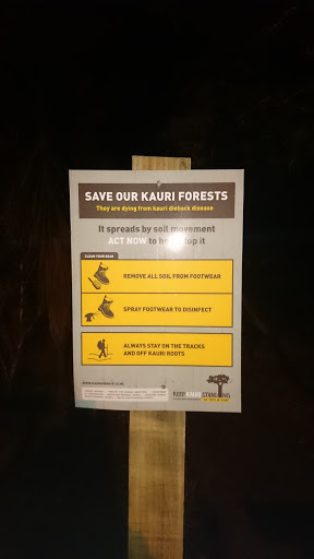 Save Our Kauri Forests