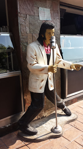 Estatua Elvis