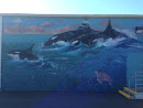 Killer Whale Mural