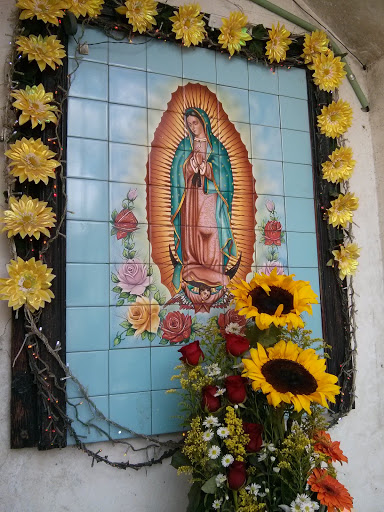 Virgen Alameda
