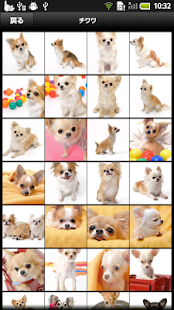 How to download わんわん写真館 1.6 mod apk for pc