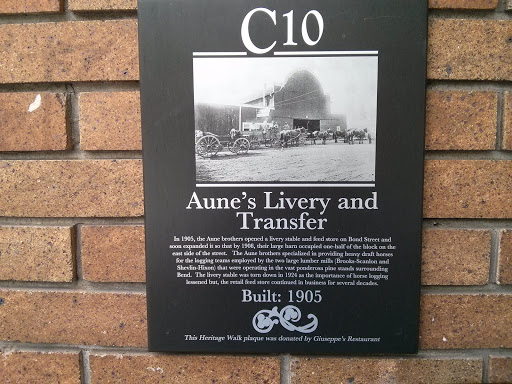 Aunt's Livery and Transfer