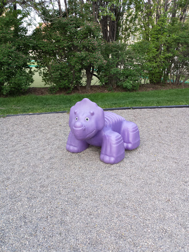 Purple Dinosaur Park