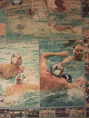 Swimming Mural
