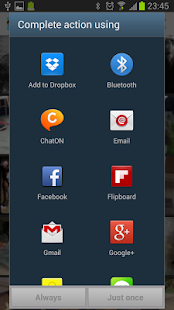 download Cute Dog Pictures - Adora Dogs free