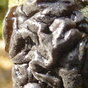 Black Jelly Roll