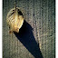  by Trevor Brown - Instagram & Mobile iPhone