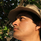 Miguel Pérez